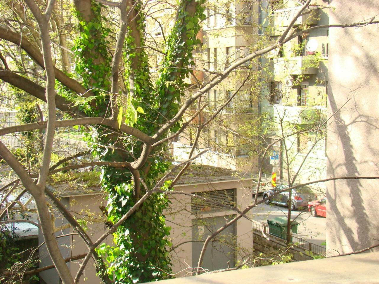 My Sun Appartamento Fiume Esterno foto